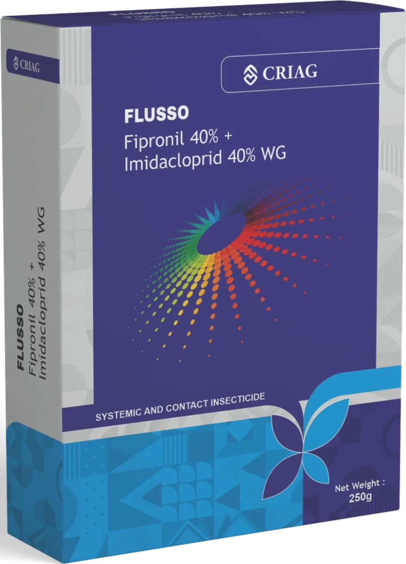 FLUSSO