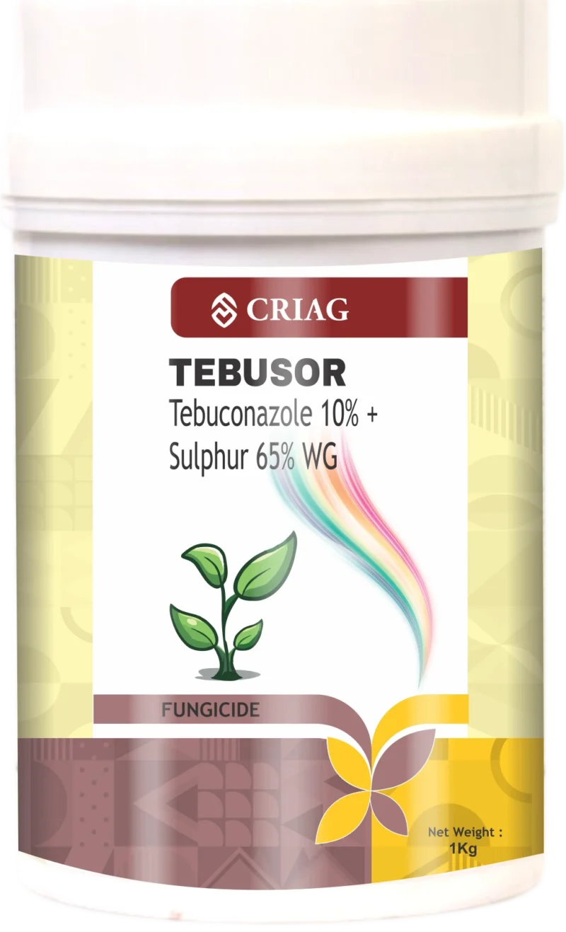 TEBUSOR