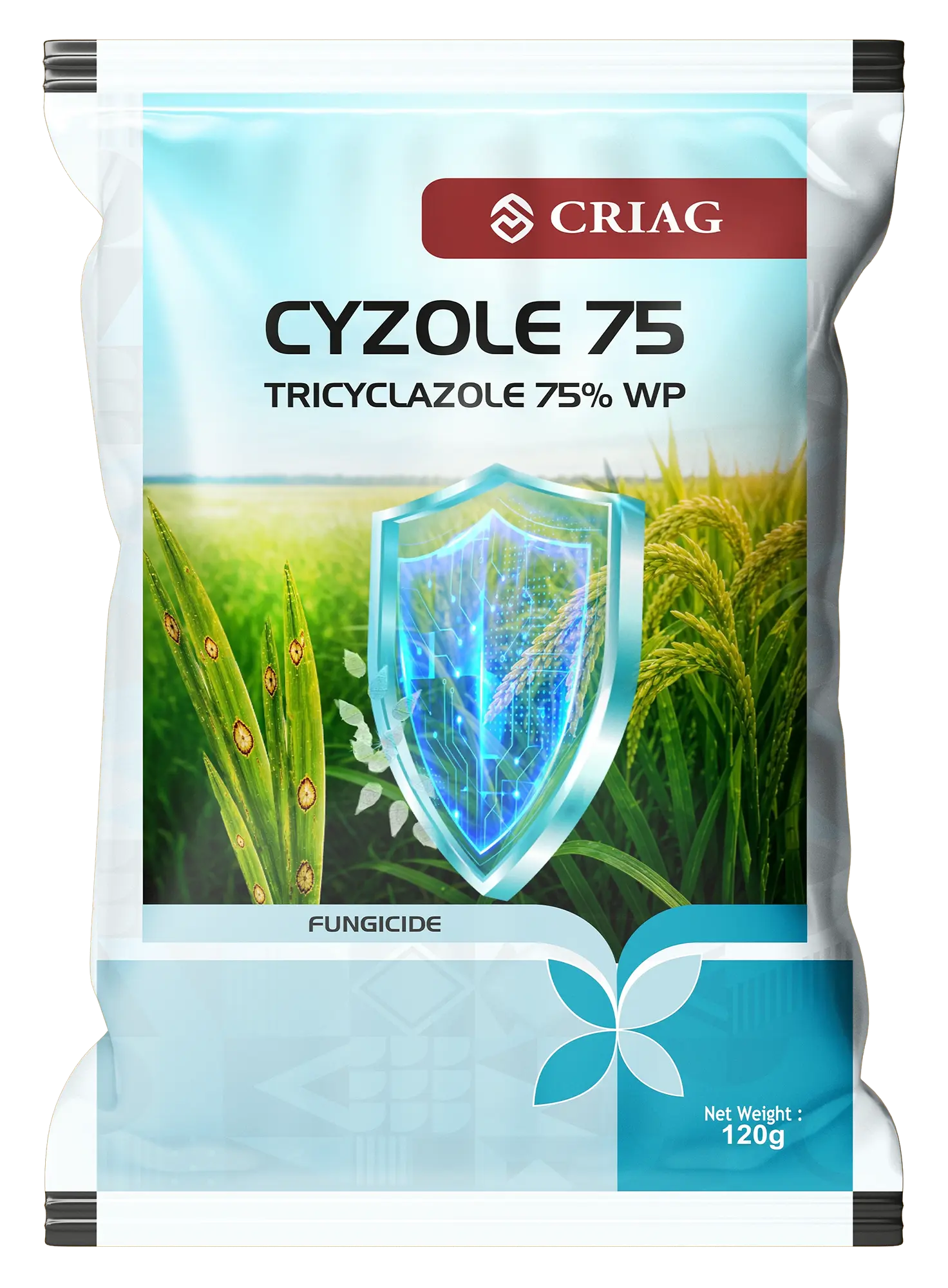 Cyzole 75